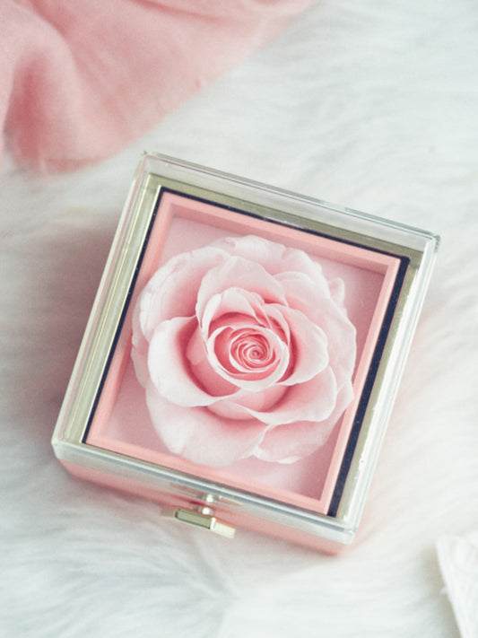 Proposal Qixi Girlfriend Bar Ring Box SHOWLU FASHION STORE