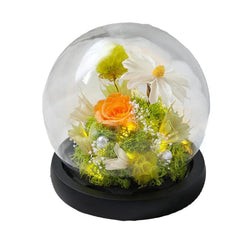 Wedding Decoration Decor Eternal Rose LED Light Preserved Flower in Glass Cover Mothers Day Gifts Birthday Party Valentines Day SHOWLU FASHION STORE