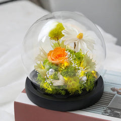 Wedding Decoration Decor Eternal Rose LED Light Preserved Flower in Glass Cover Mothers Day Gifts Birthday Party Valentines Day SHOWLU FASHION STORE