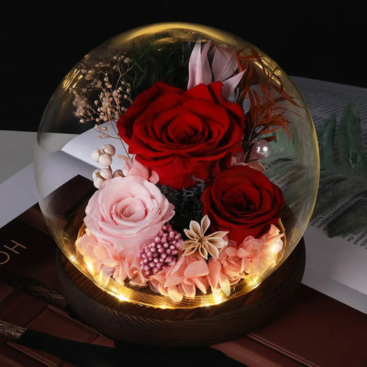 Wedding Decoration Decor Eternal Rose LED Light Preserved Flower in Glass Cover Mothers Day Gifts Birthday Party Valentines Day SHOWLU FASHION STORE