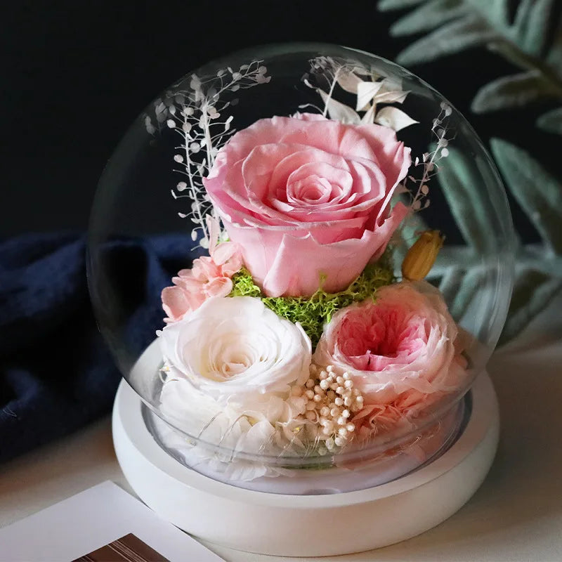 Wedding Decoration Decor Eternal Rose LED Light Preserved Flower in Glass Cover Mothers Day Gifts Birthday Party Valentines Day SHOWLU FASHION STORE