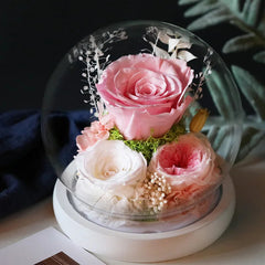 Wedding Decoration Decor Eternal Rose LED Light Preserved Flower in Glass Cover Mothers Day Gifts Birthday Party Valentines Day SHOWLU FASHION STORE