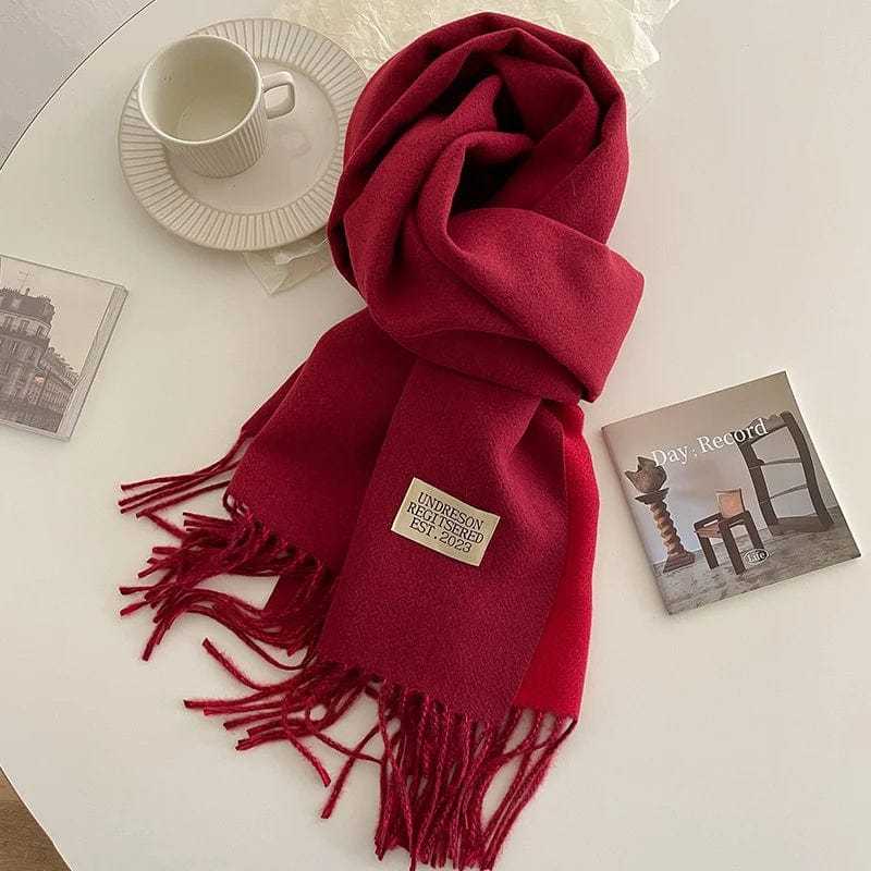 Fashion Solid Cashmere Warm Scarf New Design Pashmina Winter Double Side Diffrent Color Shawl Wraps Bufanda with Tassel Blanket - SHOWLU FASHION STORE