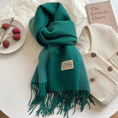 Fashion Solid Cashmere Warm Scarf New Design Pashmina Winter Double Side Diffrent Color Shawl Wraps Bufanda with Tassel Blanket - SHOWLU FASHION STORE