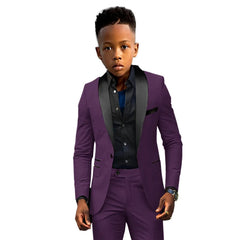 Formal Boys Suit 2 Piece Suit Wedding Kids Custom Tuxedo Clothes 2 - 16 Years Old Party Suit for Boys Blazer - SHOWLU FASHION STORE