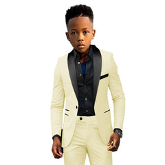 Formal Boys Suit 2 Piece Suit Wedding Kids Custom Tuxedo Clothes 2 - 16 Years Old Party Suit for Boys Blazer - SHOWLU FASHION STORE