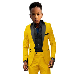 Formal Boys Suit 2 Piece Suit Wedding Kids Custom Tuxedo Clothes 2 - 16 Years Old Party Suit for Boys Blazer - SHOWLU FASHION STORE